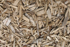 biomass boilers Darnick